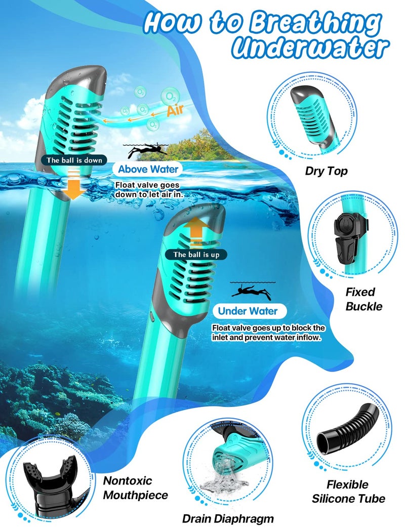 Zenoplige Mask Fins Snorkel Set, Snorkeling Gear for Adults, Panoramic View Snorkel Mask Anti-Fog, Adjustable Dive Flippers, Dry Top Snorkel and Travel Bag, Scuba Gear for Swimming Snorkeling Diving - Image 3